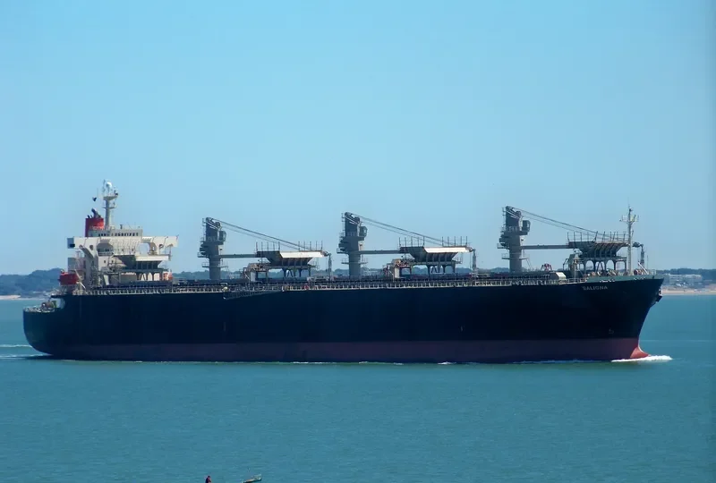 ALIGN General Cargo IMO 9078153 photo 10