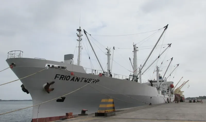 FRIO ANTWERP General Cargo IMO 9078282 photo 4