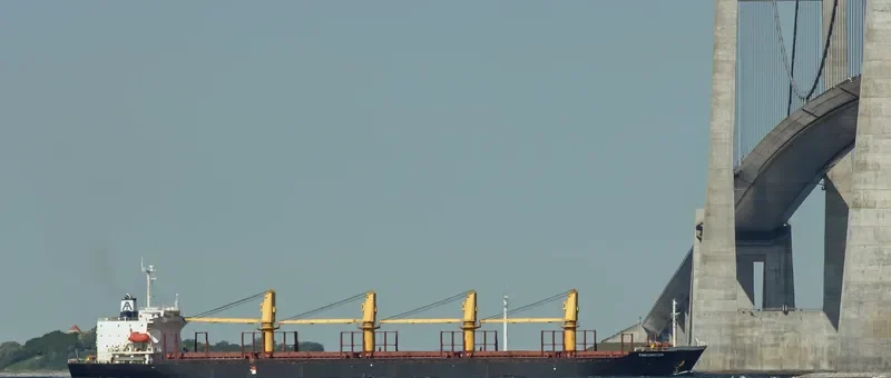 UNIVERSE ALLIANCE Bulk Carrier IMO 9078335 photo 2