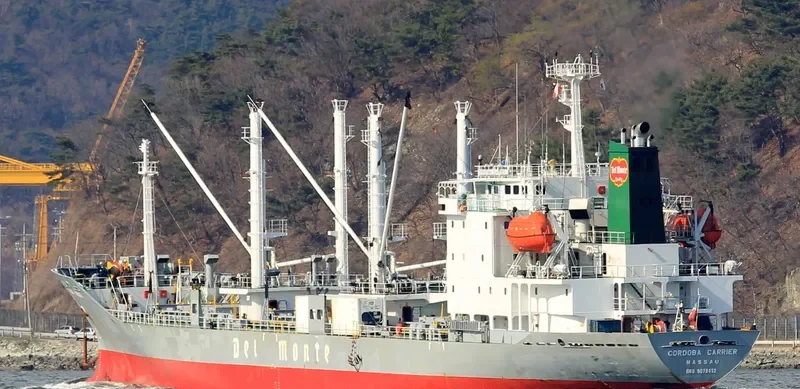 ICE RIVER General Cargo IMO 9078452