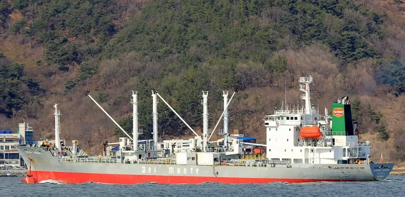 ICE RIVER General Cargo IMO 9078452 photo 2