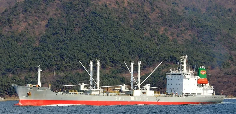 ICE RIVER General Cargo IMO 9078452 photo 3