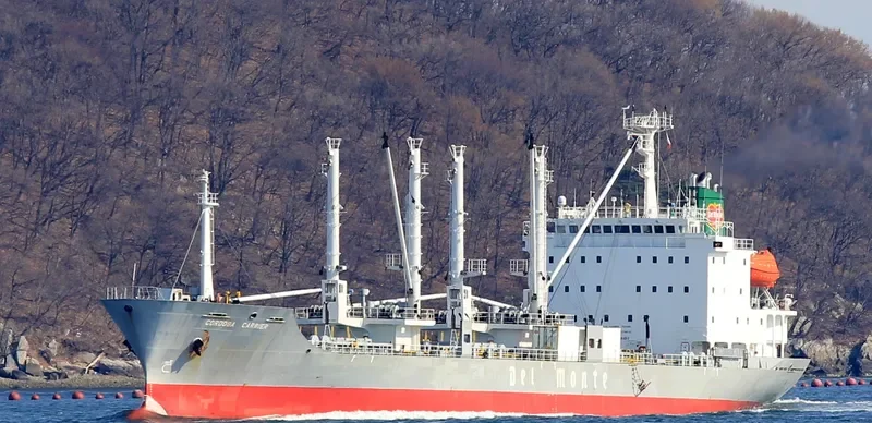 ICE RIVER General Cargo IMO 9078452 photo 4