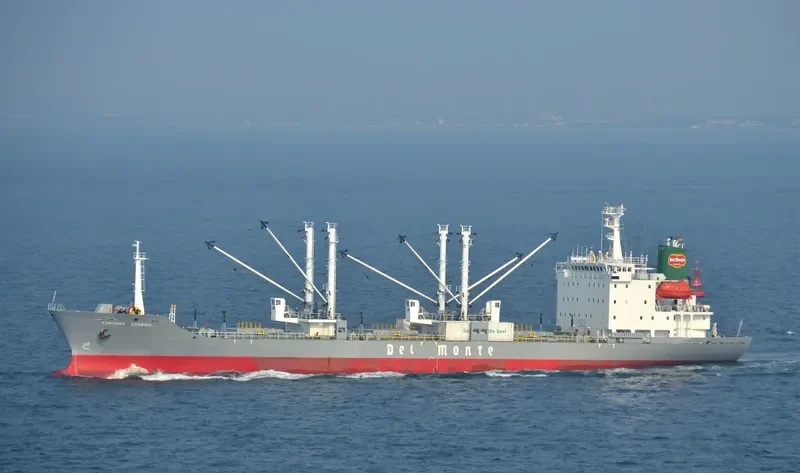 ICE RIVER General Cargo IMO 9078452 photo 5