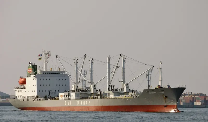 ICE RIVER General Cargo IMO 9078452 photo 6