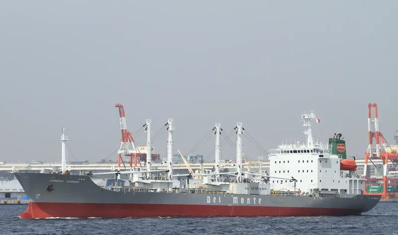ICE RIVER General Cargo IMO 9078452 photo 7