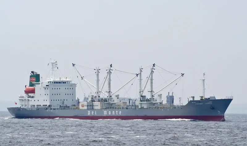 ICE RIVER General Cargo IMO 9078452 photo 8