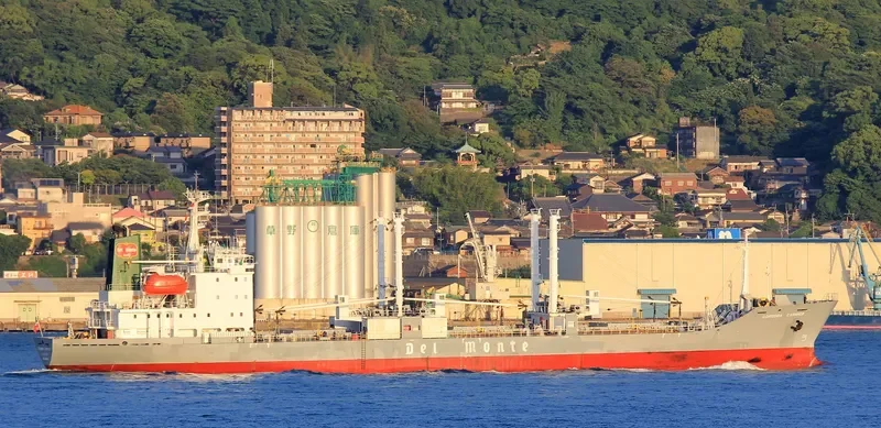 ICE RIVER General Cargo IMO 9078452 photo 9