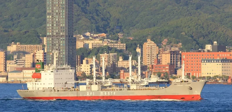 ICE RIVER General Cargo IMO 9078452 photo 10