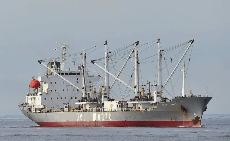 TOLEDO CARRIER General Cargo IMO 9078476