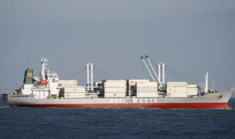 TOLEDO CARRIER General Cargo IMO 9078476 photo 2