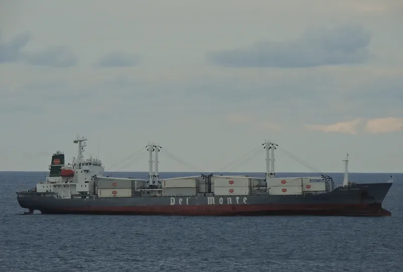 TOLEDO CARRIER General Cargo IMO 9078476 photo 4