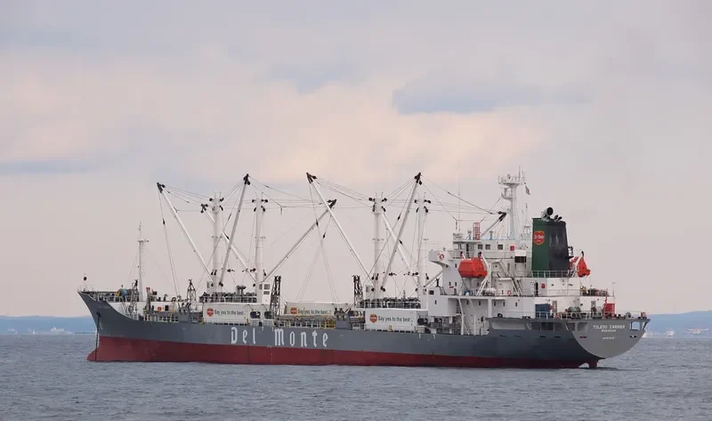 TOLEDO CARRIER General Cargo IMO 9078476 photo 6