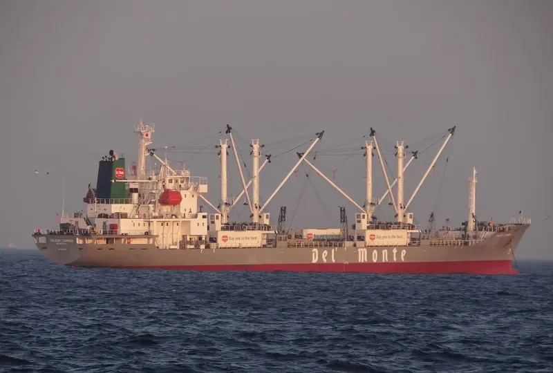 TOLEDO CARRIER General Cargo IMO 9078476 photo 7