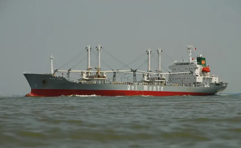 TOLEDO CARRIER General Cargo IMO 9078476 photo 8