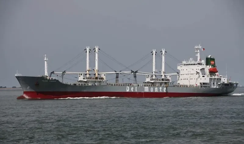 TOLEDO CARRIER General Cargo IMO 9078476 photo 9