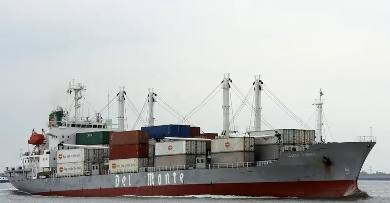 TOLEDO CARRIER General Cargo IMO 9078476 photo 10