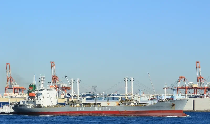SEVILLA CARRIER General Cargo IMO 9078488 photo 2