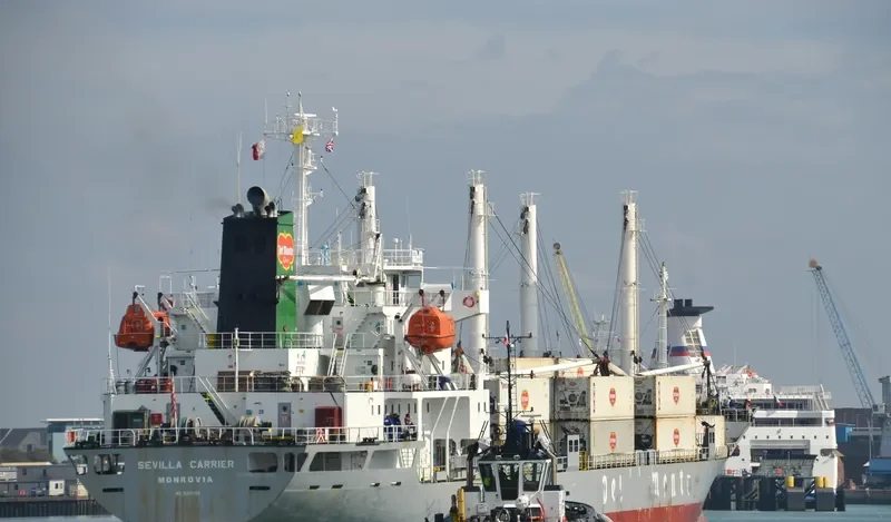 SEVILLA CARRIER General Cargo IMO 9078488 photo 6