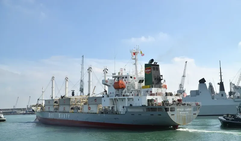 SEVILLA CARRIER General Cargo IMO 9078488 photo 7