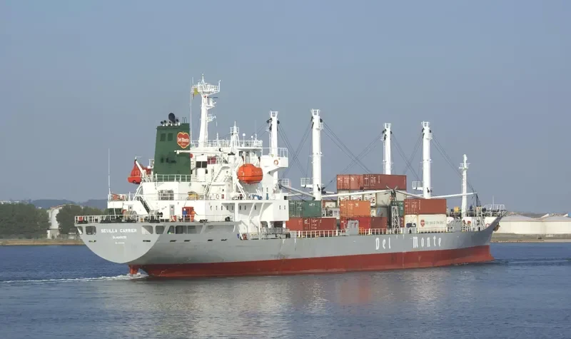 SEVILLA CARRIER General Cargo IMO 9078488 photo 10