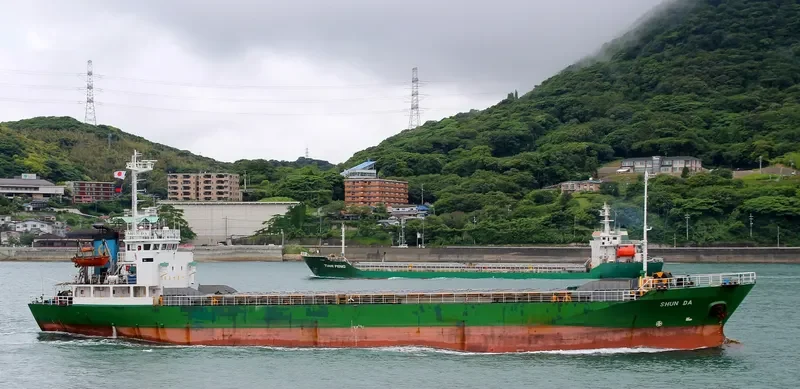 DA SHINE General Cargo IMO 9078543 photo 3