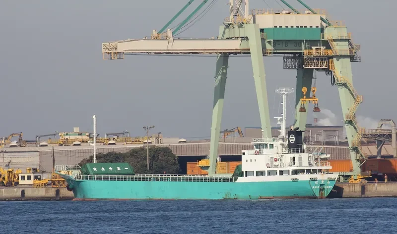 SF KINGDOM General Cargo IMO 9078646