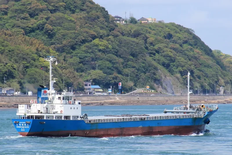 NO.36 DAEYANG General Cargo IMO 9078684 photo 2