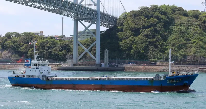 NO.36 DAEYANG General Cargo IMO 9078684 photo 4