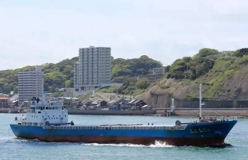 NO.36 DAEYANG General Cargo IMO 9078684 photo 5