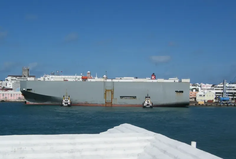 PEGASUS HIGHWAY General Cargo IMO 9078830 photo 3