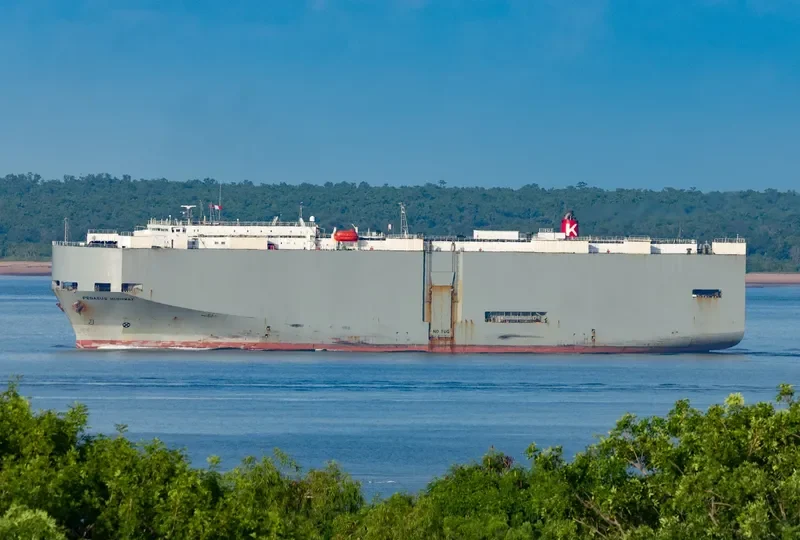 PEGASUS HIGHWAY General Cargo IMO 9078830 photo 4