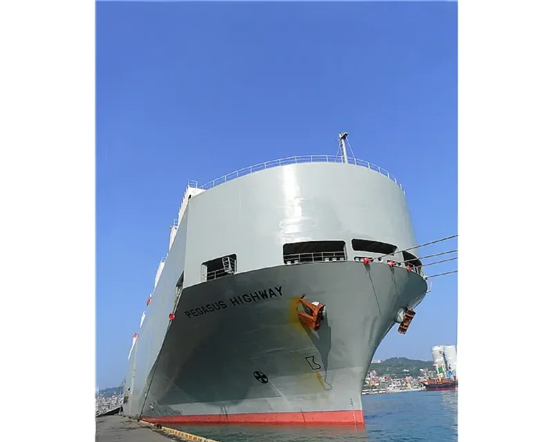 PEGASUS HIGHWAY General Cargo IMO 9078830 photo 8