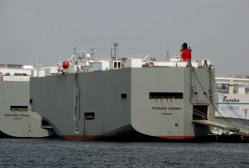 PEGASUS HIGHWAY General Cargo IMO 9078830 photo 10