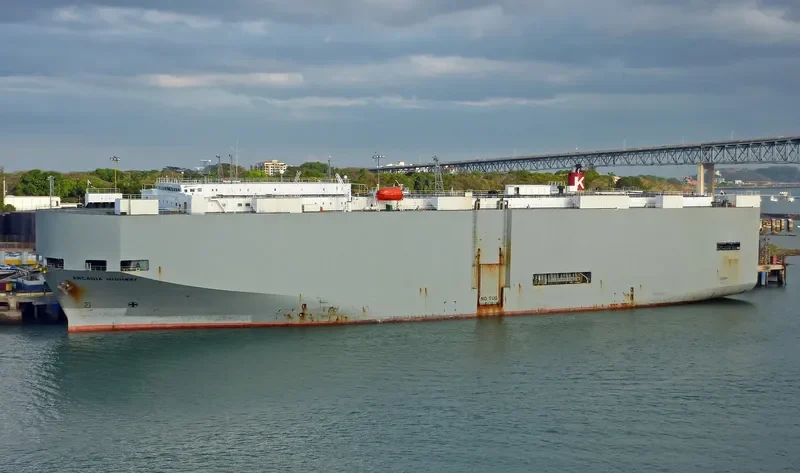ARCADIA HIGHWAY General Cargo IMO 9078842 photo 2