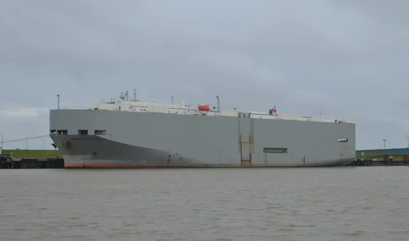 ARCADIA HIGHWAY General Cargo IMO 9078842 photo 7