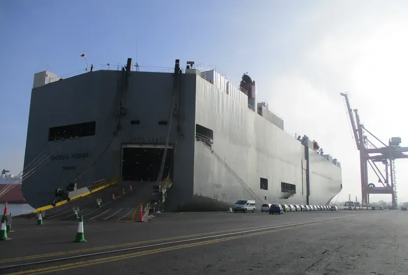 ARCADIA HIGHWAY General Cargo IMO 9078842 photo 8