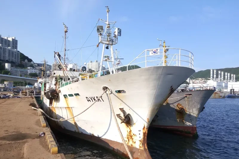 DUKAT General Cargo IMO 9079054 photo 5