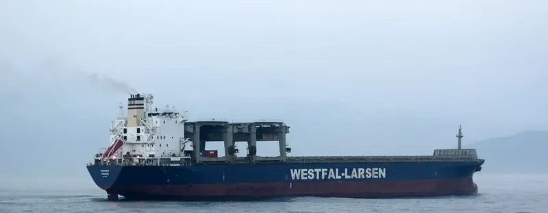 HERANGER Container Ship IMO 9079121 photo 4
