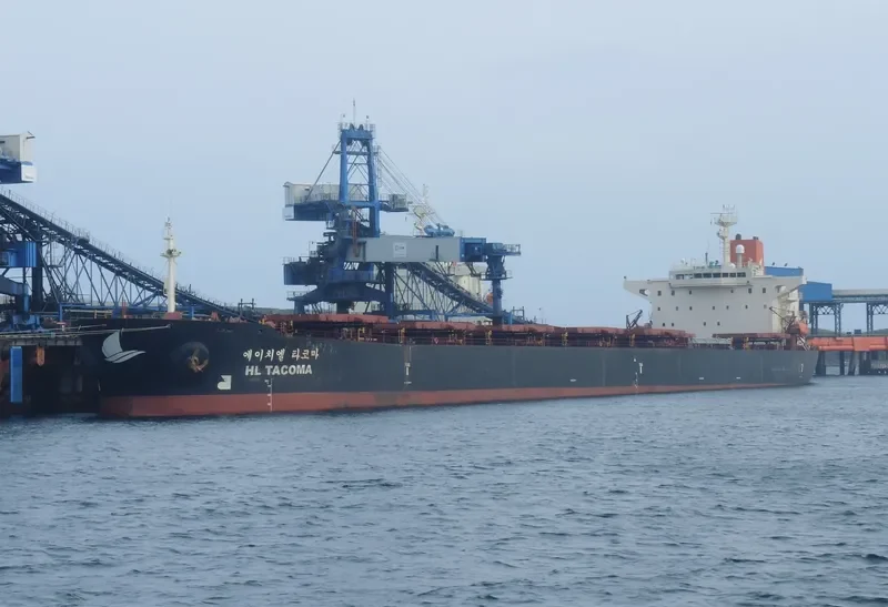 BON VOYAGE Bulk Carrier IMO 9079145