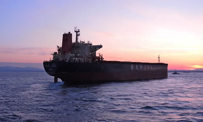 BON VOYAGE Bulk Carrier IMO 9079145 photo 2