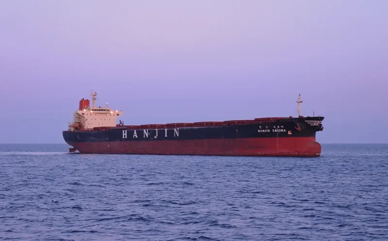 BON VOYAGE Bulk Carrier IMO 9079145 photo 3