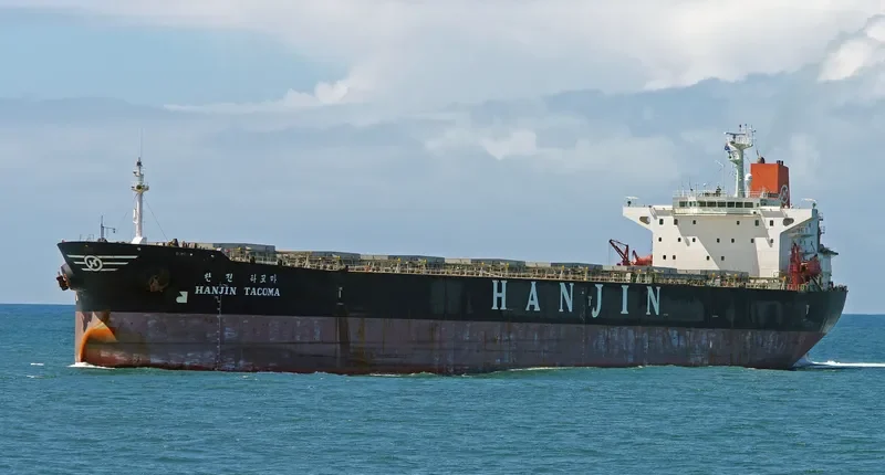 BON VOYAGE Bulk Carrier IMO 9079145 photo 10
