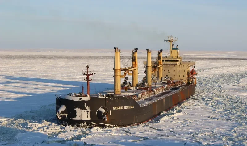 NORDIC BOTHNIA Bulk Carrier IMO 9079157 photo 5