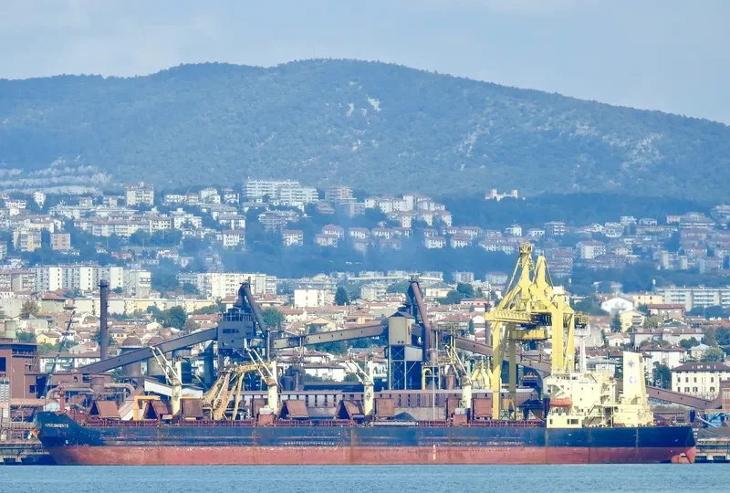 ENISEY Bulk Carrier IMO 9079169 photo 2