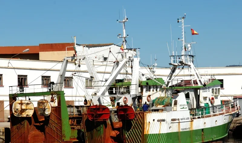 MAR DE LAGOS General Cargo IMO 9079262 photo 3