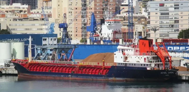 VEYSEL VARDAL Tanker IMO 9079303 photo 10