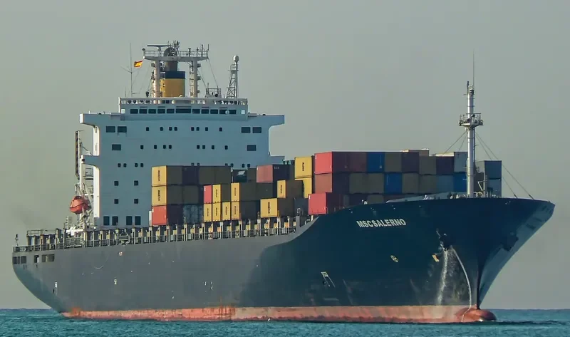 REPTON Container Ship IMO 9079547