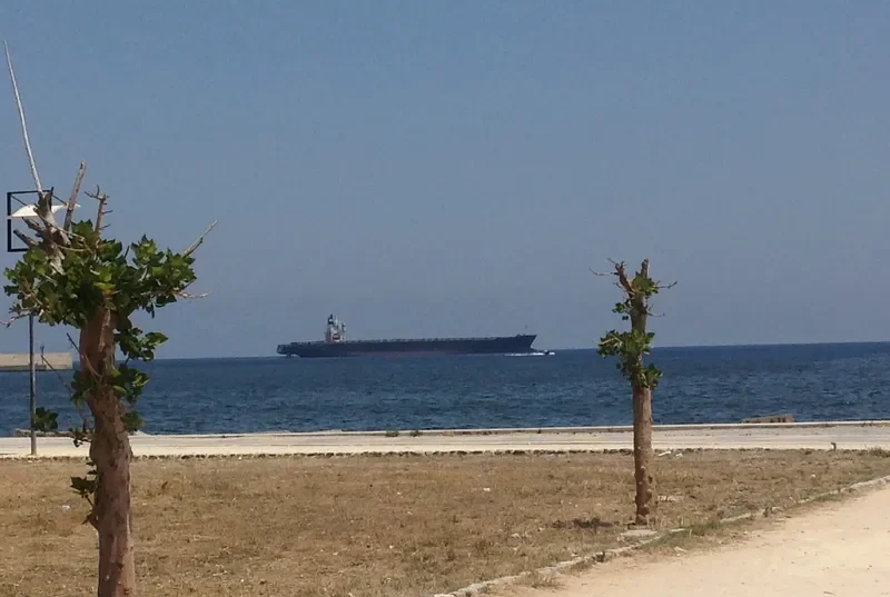 REPTON Container Ship IMO 9079547 photo 5