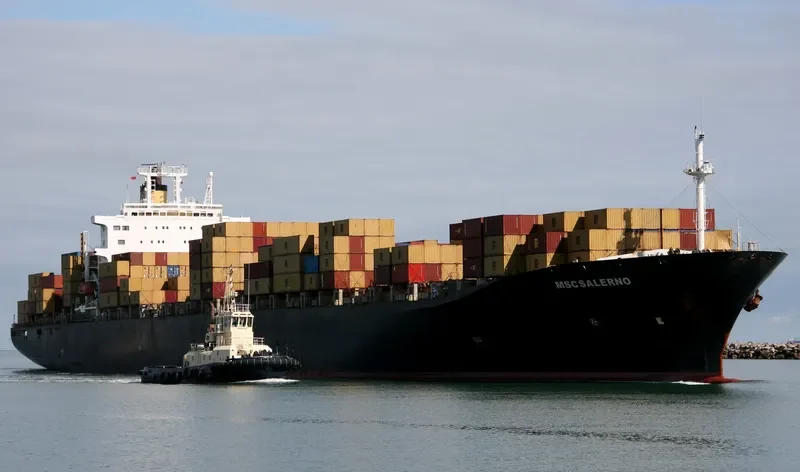 REPTON Container Ship IMO 9079547 photo 7